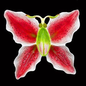 Lily Collection Butterfly Shaped Ceramic Chip & Dip Party Tray Dish